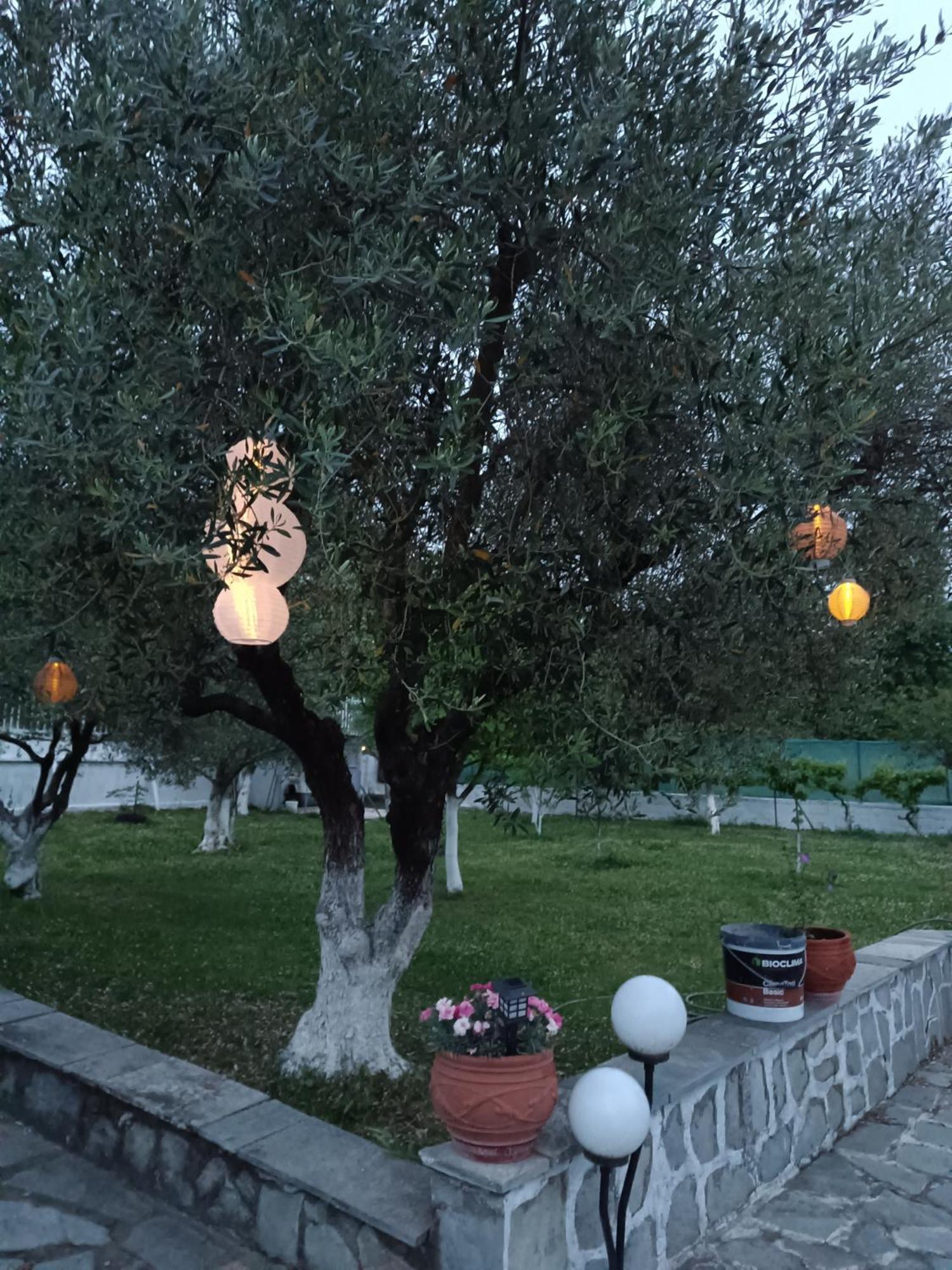 Pomegranate Tree House - Meteora Guest House Kalampáka Ngoại thất bức ảnh
