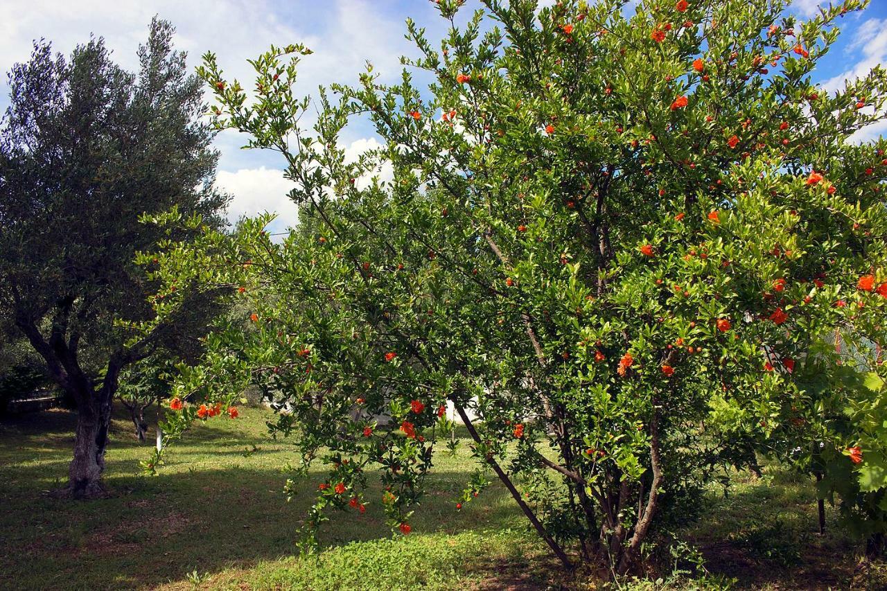 Pomegranate Tree House - Meteora Guest House Kalampáka Ngoại thất bức ảnh